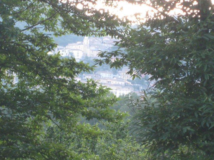 Myriam Country House B&B 메르코글리아노 외부 사진